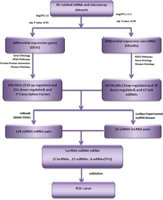 Expression Analysis of Long Non-Coding RNAs Related With FOXM1, GATA3, FOXA1 and ESR1 in Breast Tissues